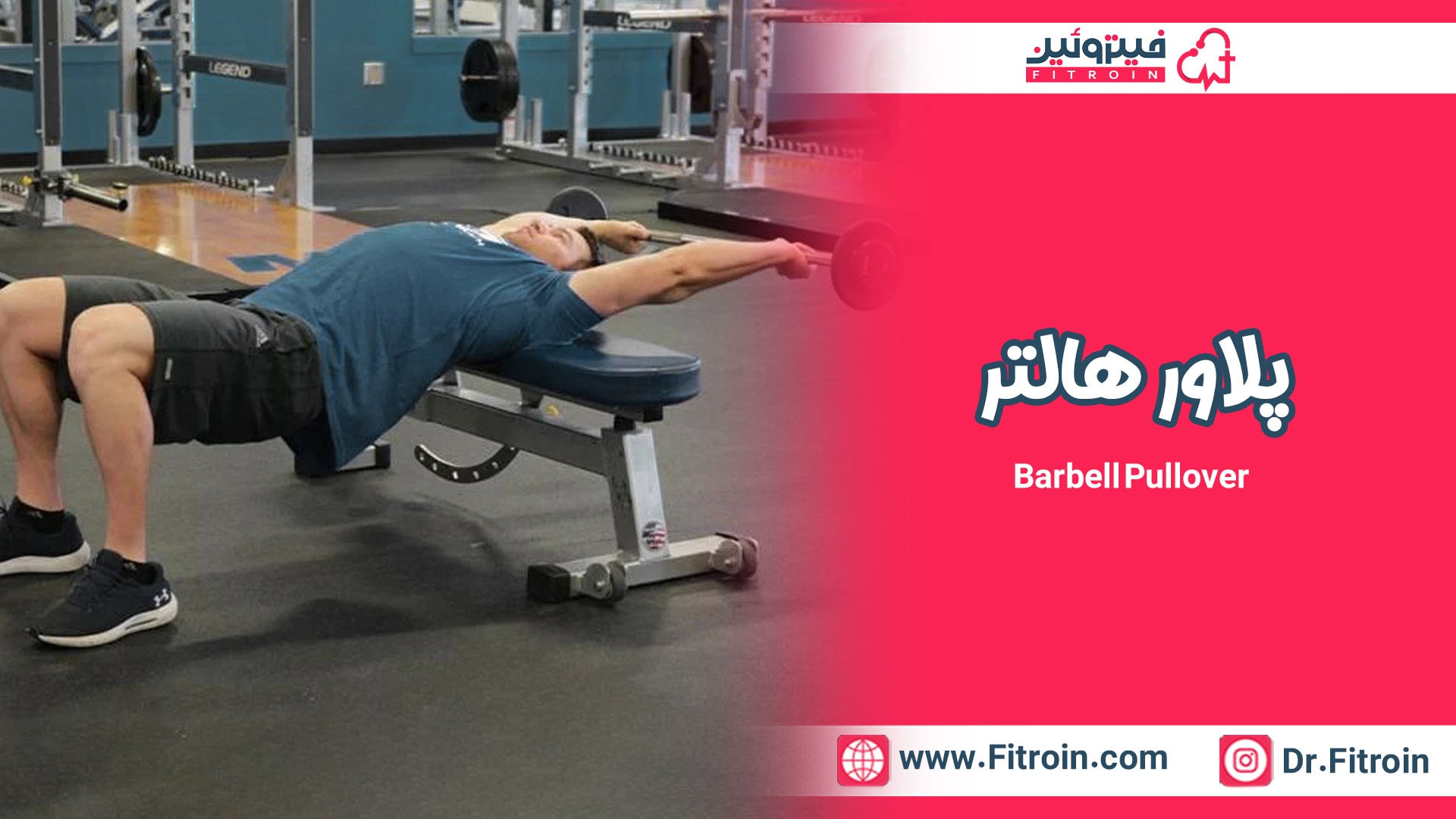 پلاور هالتر