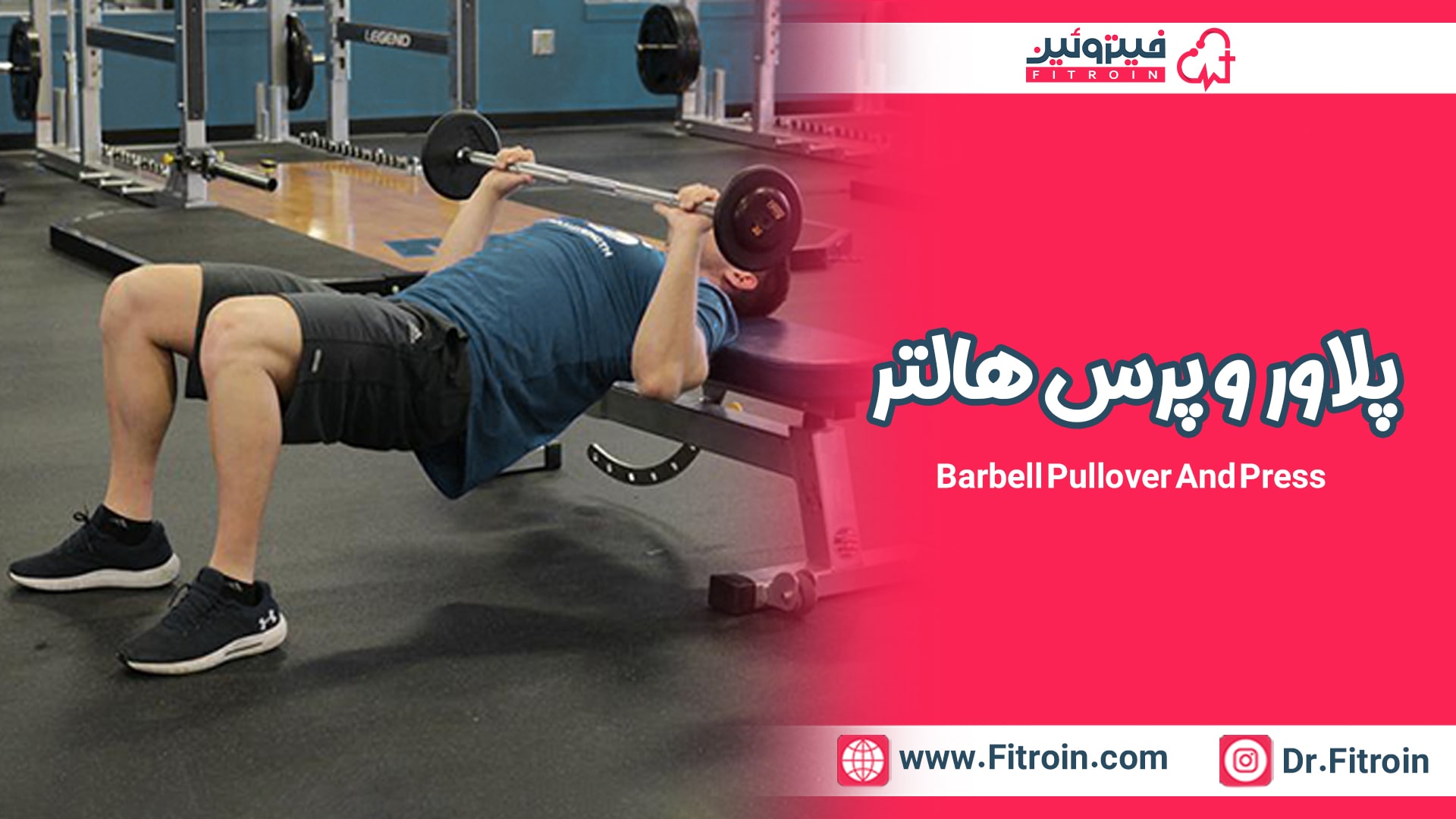 پلاور و پرس هالتر